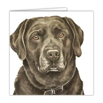 WaggyDogz Přání AC-105 Waggy Dogz