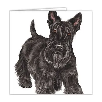 WaggyDogz Přání AC-206 Waggy Dogz