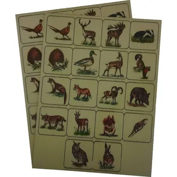 Pexeso Barevné pexeso LESNÍ ZVĚŘ