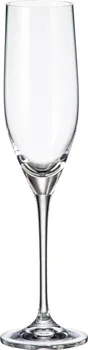 Sklenice Crystalite Bohemia Sitta sklenice na šampaňské 240 ml 6 ks