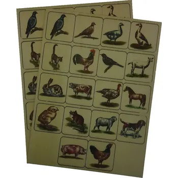 Pexeso Barevné pexeso DOMÁCÍ ZVÍŘATA