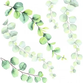 Samolepící dekorace Samolepka na zeď eukalyptus 54120 M 31x31 cm