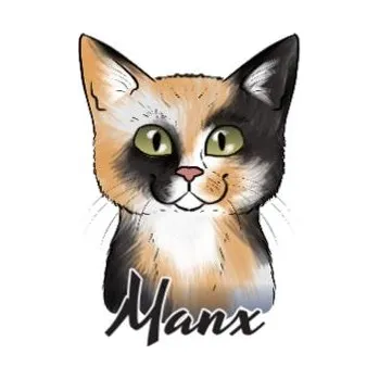 Samolepicí dekorace na vozidlo Samolepka na auto MANX