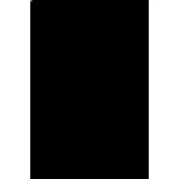 The Attention Economy and How Media Works - Nelson-Field, Karen (Senior Research Associate, Ehrenberg-Bass Institute for Marketing Science, University of South Aust