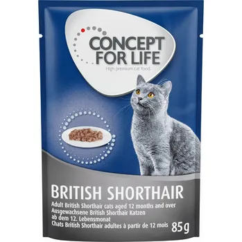 Krmivo pro kočku 12x85g Concept for Life British Shorthair Adult (kvalita ragú)