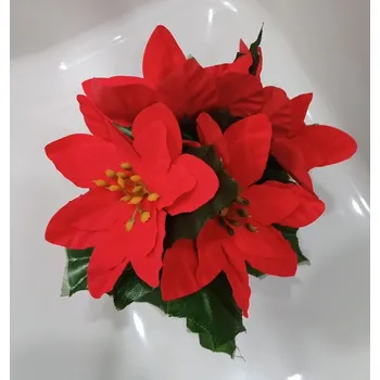 Vánoce Vánoční hvězda v obalu 4 květy