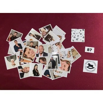 Pexeso HandMade by VeJa Pexeso vel.L č.87 - seriál ZOO (48kousků)