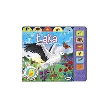 Cizojazyčná kniha Odkrywam dźwięki Łąka - praca zbiorowa