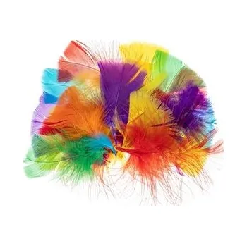 Set školních potřeb Piórka indycze trójkątne 5-10cm