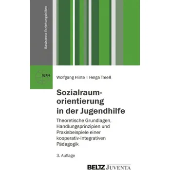 Sozialraumorientierung in der Jugendhilfe - Hinte, Wolfgang