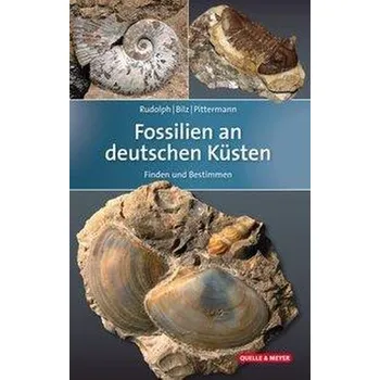 Fossilien an deutschen Küsten - Rudolph, Frank