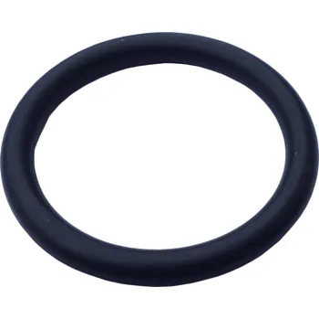 Příslušenství k čerpadlu Těsnění O-kroužek G1 do závitu