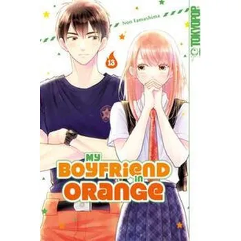 Komiks pro dospělé My Boyfriend in Orange 13 - Tamashima, Non