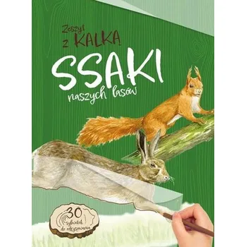 Ssaki naszych lasów. Zeszyt z kalką - Katarzyna Kopiec-Sekieta