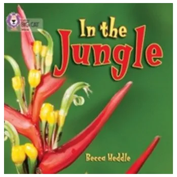 Kniha In the Jungle - Heddle, Becca
