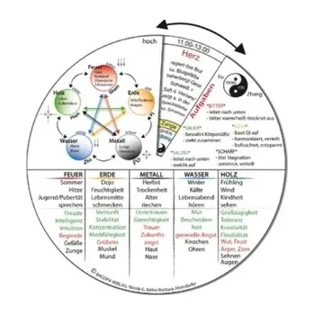 TCM-Grundlagen, Drehscheibe - Keller, Nicola G.