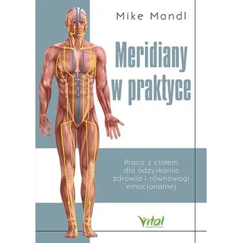 Meridiany w praktyce. Praca z ciałem dla odzyskania zdrowia i równowagi emocjonalnej - Mandl, Mike