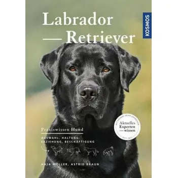 Labrador Retriever - Braun, Astrid