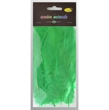 Set školních potřeb Piórka miękkie zielone 15szt