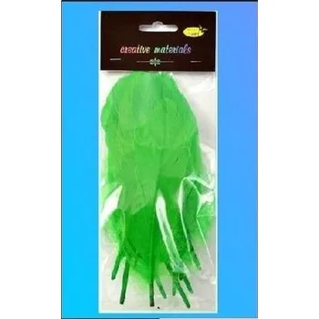 Set školních potřeb Piórka twarde jasnozielone 10szt