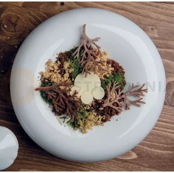 Kuchyňská sůl Silikonová forma na předkrmy, 10x větvička s lístky, 78x48x2 mm, 2 ml, 300x175 mm - GG031S | PAVONI, Wood