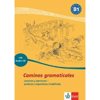 Cizí jazyk Caminos gramaticales B1, m. Audio-CD - Segoviano Rosenblum, Sabine