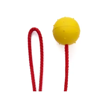 Hračka pro psa JK Animals Míček, hračka z tvrdé gumy 5 cm + šňůra 60 cm