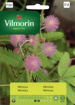Semeno Vilmorin Premium mimóza 0,8 g