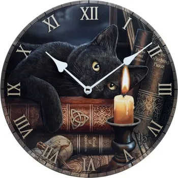 Hodiny Nástěnné hodiny, kočka s knihami, design Lisa Parker