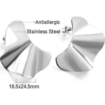 Náušnice Luxusní nerezové náušnice - 381S