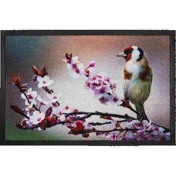 Rohožka Rohožka 585 Image 021 bird Rohožka Image 021 bird