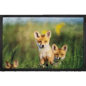 Rohožka Rohožka 585 Image 026 foxes Rohožka Image 026 foxes