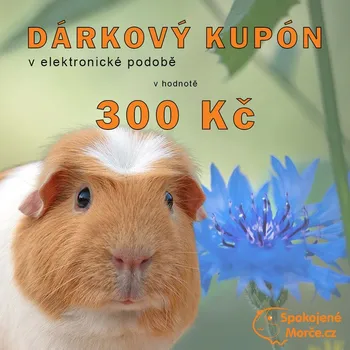 Dárkový kupón 300 Kč