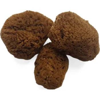 Caribbean Sun Kosmetická mořská houba 5-6 cm, 3 ks Varianta: Minerální