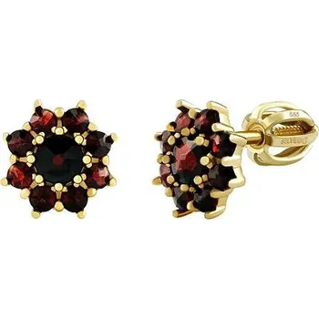 Náušnice Zlaté náušnice pecky Quinn s přírodním granátem JSW2071GYGR