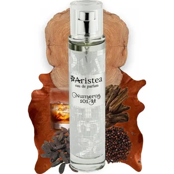 Pánský parfém Aristea NUMEROS 101 H parfémová voda pánská 50 ml