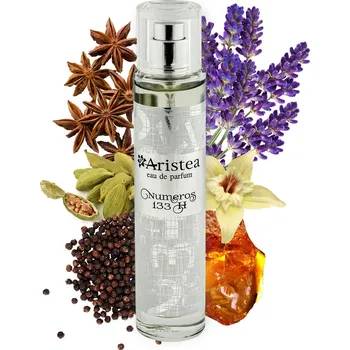Pánský parfém Aristea NUMEROS 133 H parfémová voda pánská 50 ml