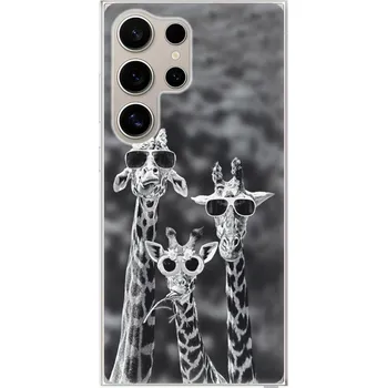 Pouzdro na mobilní telefon Odolné silikonové pouzdro iSaprio - Sunny Day - Samsung Galaxy S24 Ultra