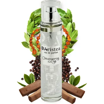 Pánský parfém Aristea NUMEROS 121 H parfémová voda pánská 50 ml