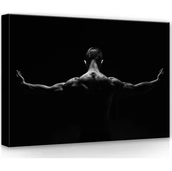 Obraz Postershop Obraz na plátne: Tanecník - 70x50 cm