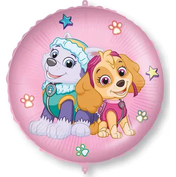 PROCOS Fóliový balónek kulatý 46 cm s těžítkem, Everest a Skye/růžový