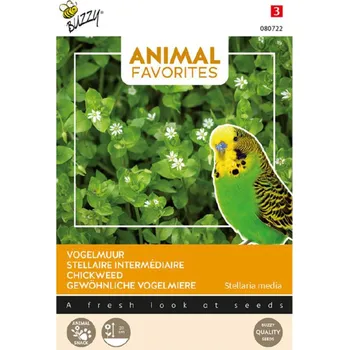 Semeno Semena - ANIMAL FAVORITES - HVĚZDICE PROSTŘEDNÍ PRO PTÁKY