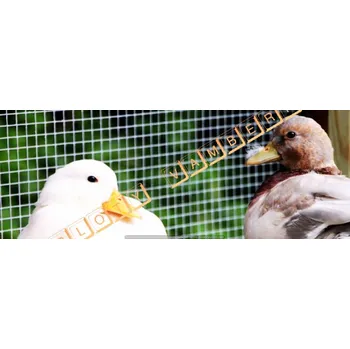 chovatelské pletivo Svařovaná síť 6,3 x 6,3 / 0,5 mm Zn