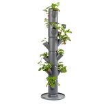 Gusta Garden Sissi Strawberry Classic