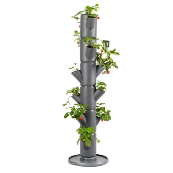 Gusta Garden Sissi Strawberry Classic, antracit