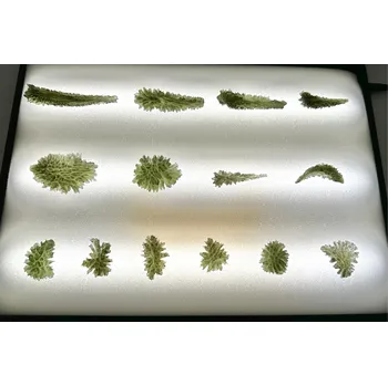 Šperkovnice Kazeta/krabička na vltavíny a minerály či šperky s podsvícením Barva: Mahagon, Velikost: L