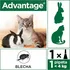 Antiparazitikum pro kočku Bayer Advantage Spot-on pro kočky 40 mg