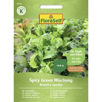 Semeno Asijská listová zelenina Spicy Green FloraSelf