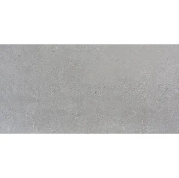 Dlažba ROSA GRES ICONIC POOL 316G2921A1 31 cm x 62,6 cm x 0,9 cm šedá 1,17 m2