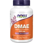 NOW Foods DMAE (Dimethylaminoethanol), 250mg - 100 kapslí